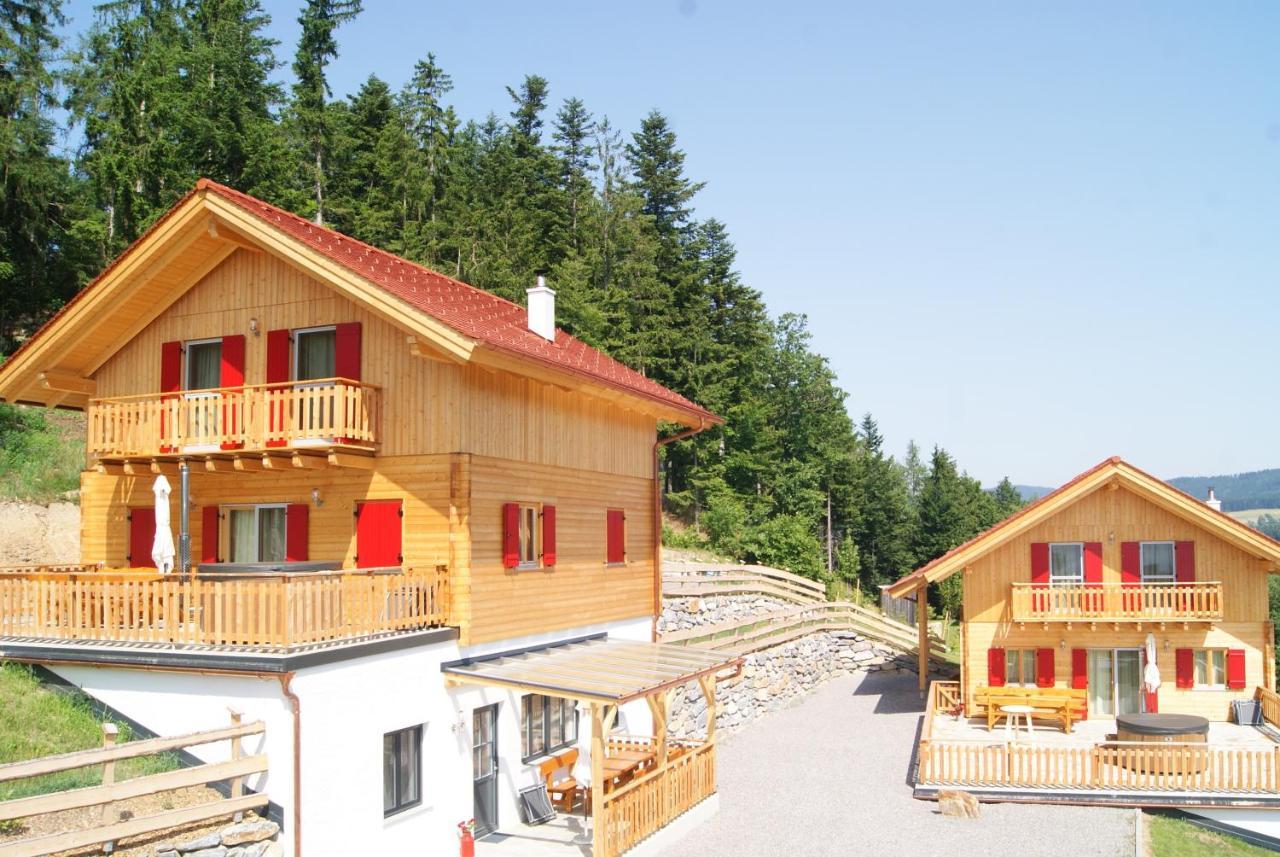 Bergchalet Am Waldrand - Pool, Sauna & Kamin Pollauberg Экстерьер фото
